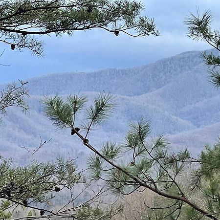 Mountain Love Nest Gatlinburg Ngoại thất bức ảnh