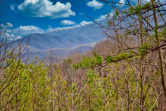 Mountain Love Nest Gatlinburg Ngoại thất bức ảnh