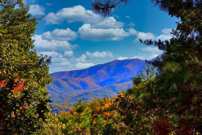 Mountain Love Nest Gatlinburg Ngoại thất bức ảnh