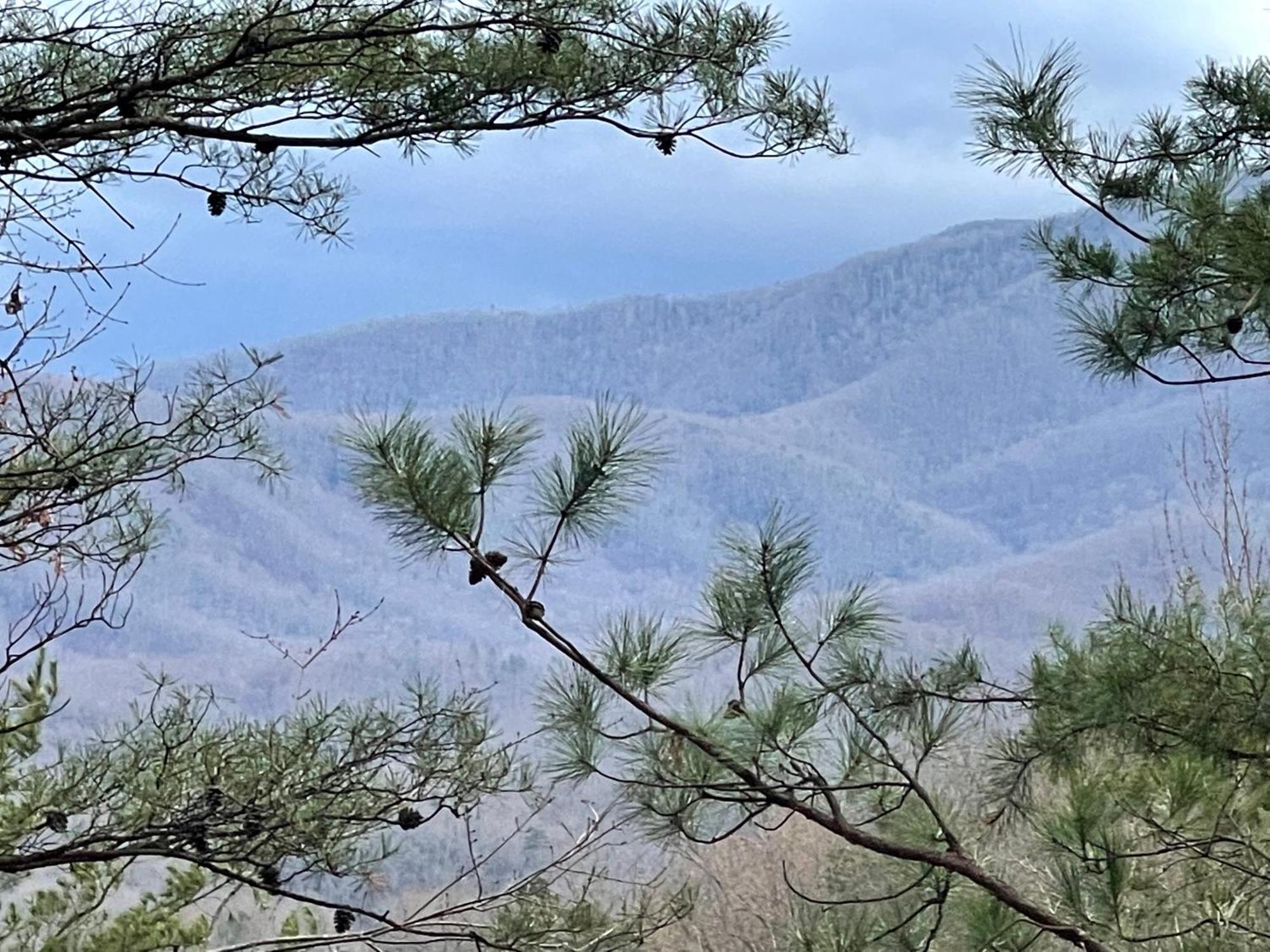 Mountain Love Nest Gatlinburg Ngoại thất bức ảnh